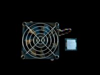 Intel Pentium G3260 SR1K8 LGA 1150 3,3 GHz Prozessor mit...